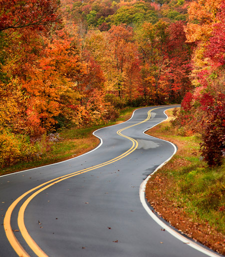 winding road in autumn